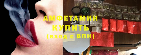 прущие грибы Верея