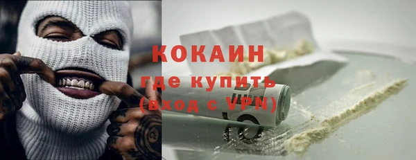прущие грибы Верея