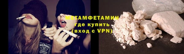 прущие грибы Верея