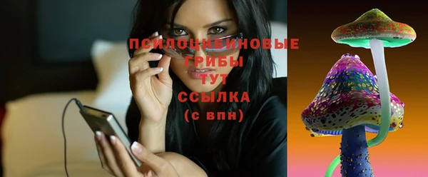 MDMA Верхний Тагил