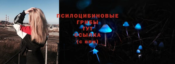 прущие грибы Верея