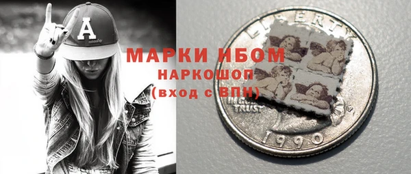 прущие грибы Верея