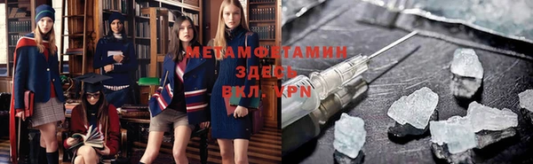 прущие грибы Верея