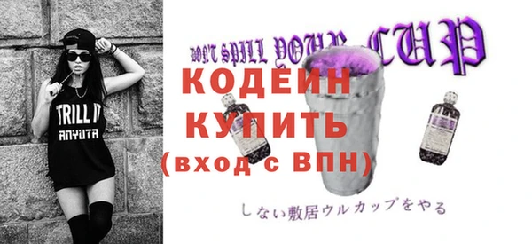 прущие грибы Верея