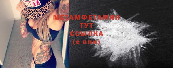 прущие грибы Верея