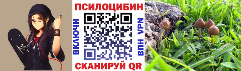 Псилоцибиновые грибы GOLDEN TEACHER  где купить наркоту  Ува 